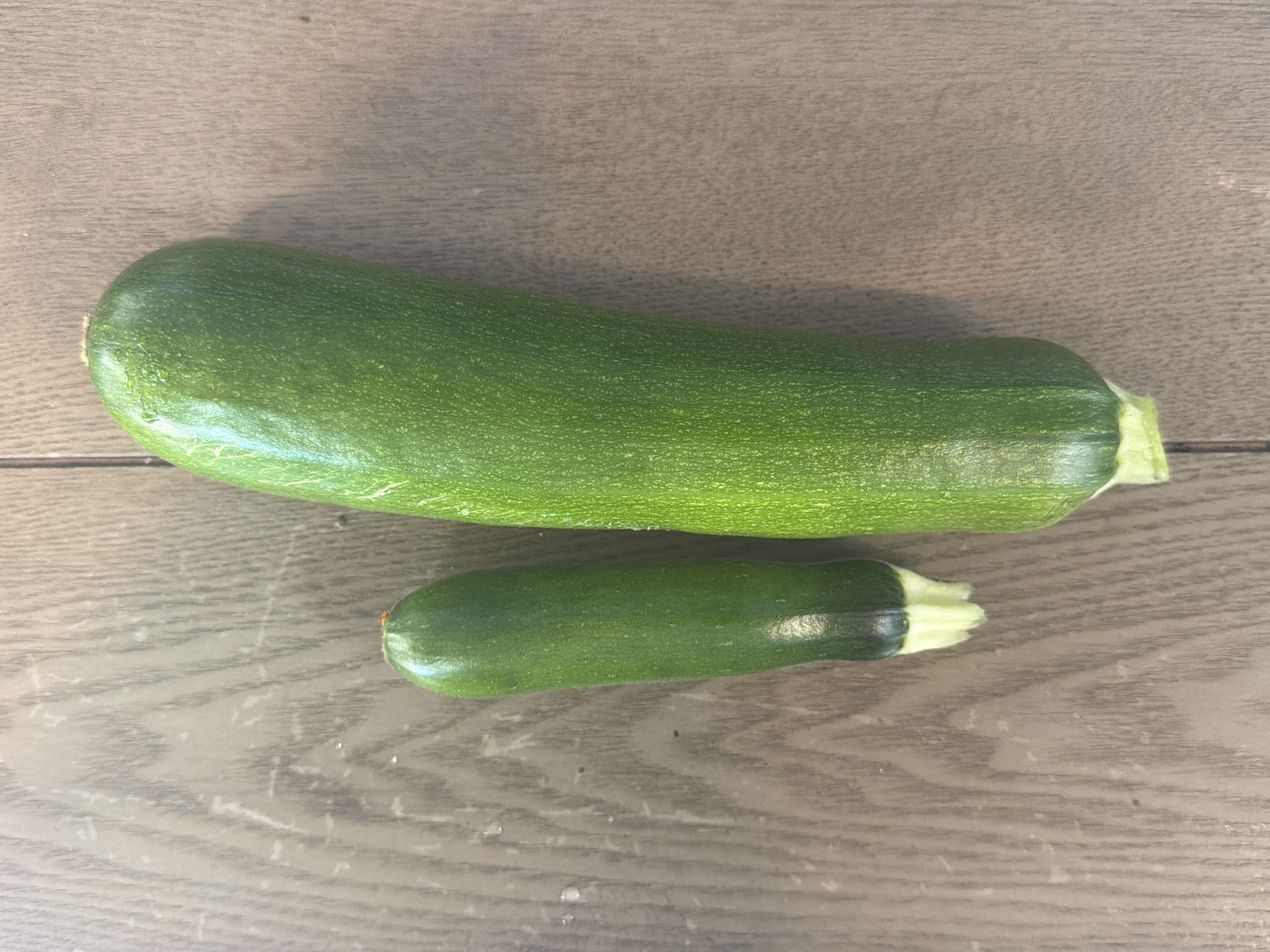 Squash harvest